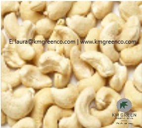 Vietnamese Cashew Nut Kernels WWW240 WW320 - Imagen 1