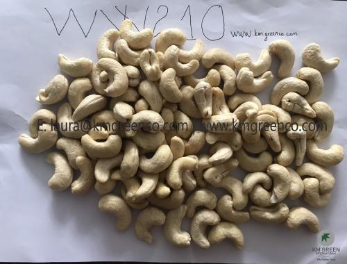 Vietnamese Cashew Nut Kernels WW180 WW210 - Imagen 2